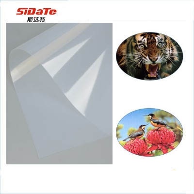 Best Quality Waterproof Translucent Screen Printing Film